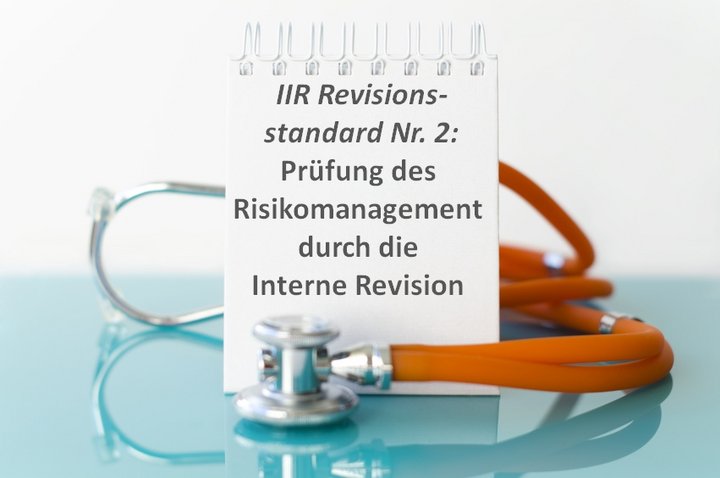 Prüfung des Risikomanagement durch die IR: Implikation des IIR-Revisionsstandards Nr. 2