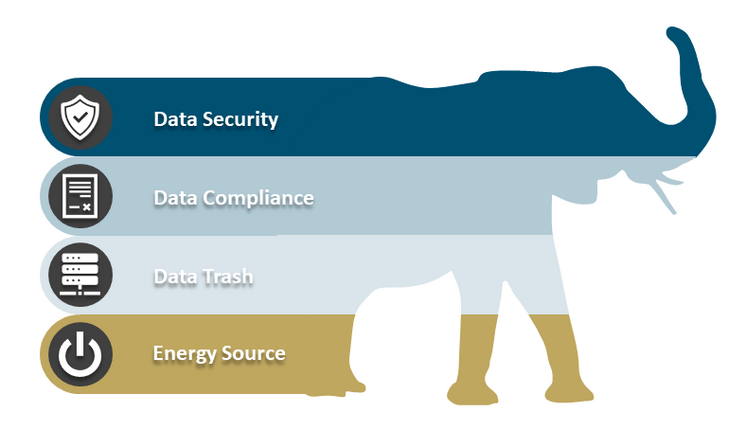 Figure 2: ESG in Data Sustainability [Source: ifb]