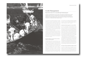 Zeitschrift Risk, Compliance &amp; Audit