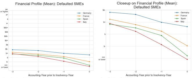 Figure 2: Financial profile: Defaulted SMEs & MidCaps [Source: Euler Hermes Rating GmbH]