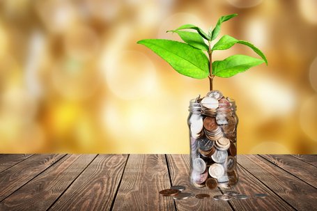 Nachhaltigkeitsrisiken im Fokus