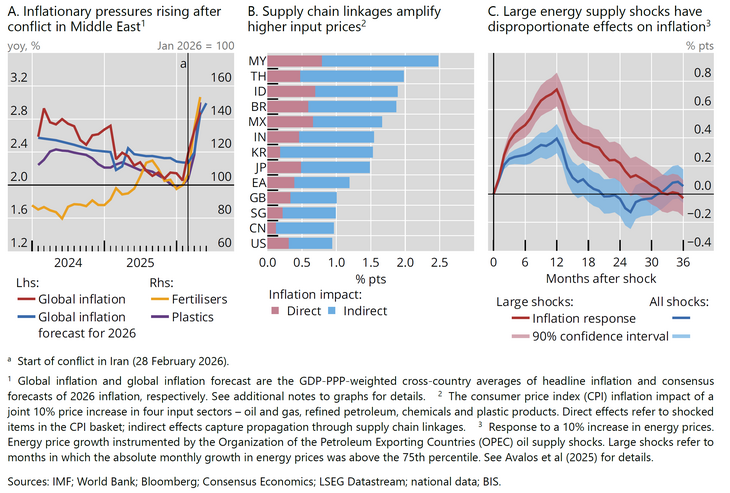 Abb. 04: Der schwere Energieschock erhöhte den Inflationsdruck und zeigte die Verstärkung über Lieferketten [Quelle: BIS (2026): Annual Economic Report, June 2026, Graph 8, S. 18]