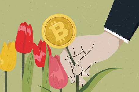 Bitcoin und Tesla als Symbole der Tulpenmanie 2.0?