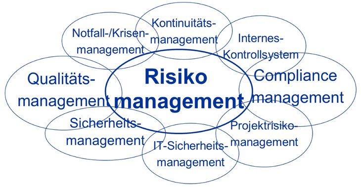 Abbildung 1: Risikomanagement und die risikobasierten Teilbereiche