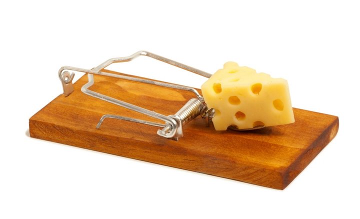 Compliance Management: Die Rechtsfalle