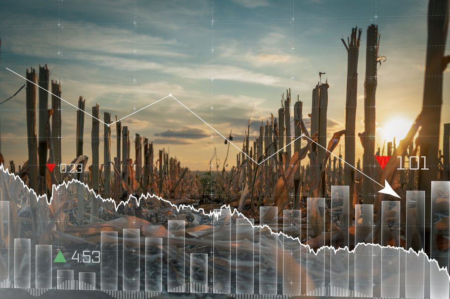Krieg verstärkt vorhandene Krisen-Szenarien