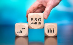 Ein unterschätztes ESG-Risiko: Hinweisgeberschutzgesetz, Greenwashing und Internal Investigations 