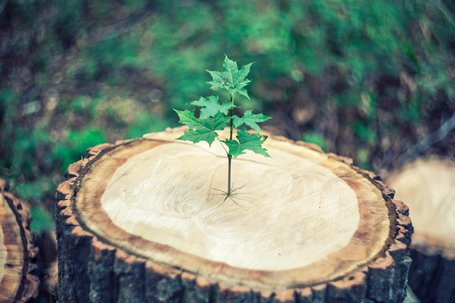 Die Corona-Wirtschaftskrise als Chance?