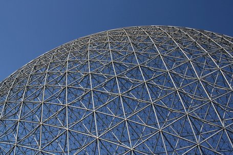 Das Robuste Unternehmen