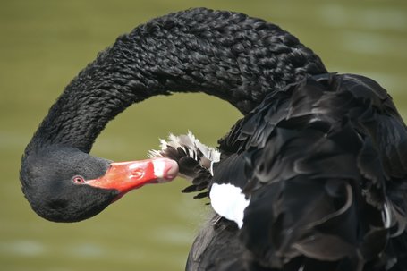 "Vorwarnungen" für die Früherkennung von Risikotrends