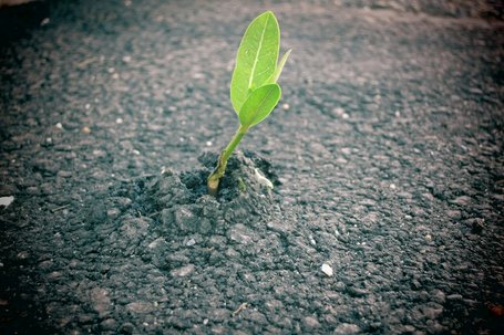 Führungskräfte und die mangelnde Awareness