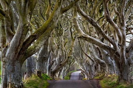 Was Risikomanager von Game of Thrones lernen können