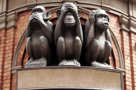 Wirecard: Schwächen bei Risikomanagement und Abschlussprüfung