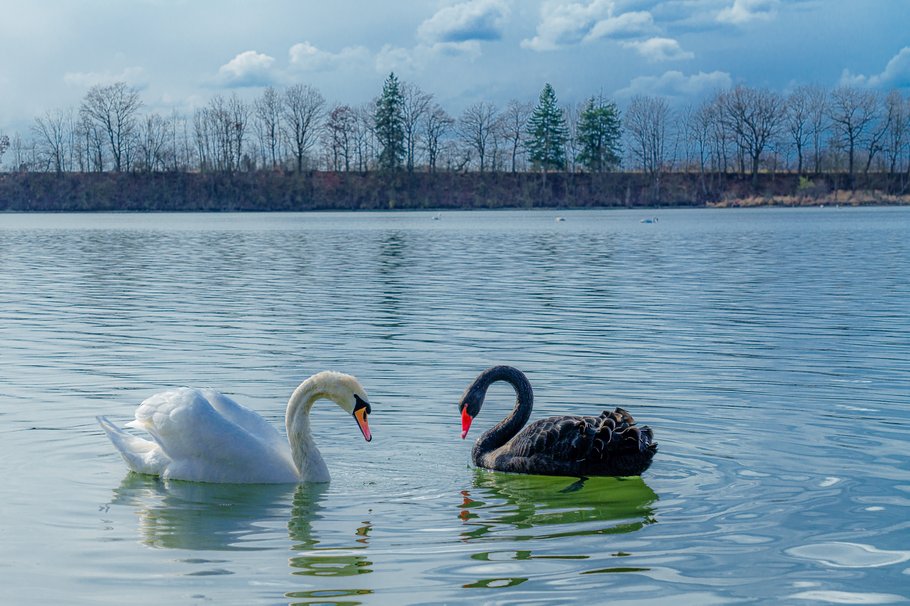 Wirtschaftswende oder Absturz?