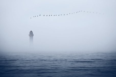 Nebulöse Transparenz bei strategischen Risiken