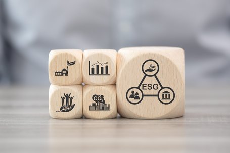 Simulation methods for quantifying ESG risks