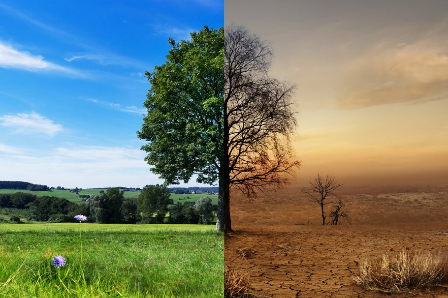 Eine Vier-Grad-Welt ist nicht mehr versicherbar