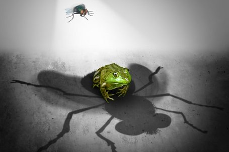 Der Blick aufs Ganze ist entscheidend