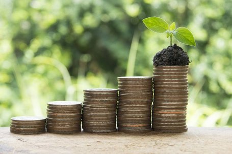 Zinsänderungsrisiken im Anlagebuch