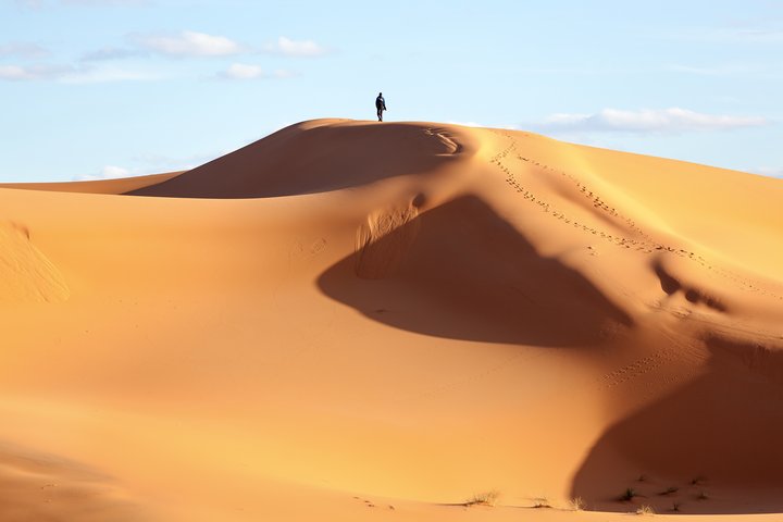 Der falsche Policy-Mix: Ein Rufer in der Wüste, auf den niemand hört