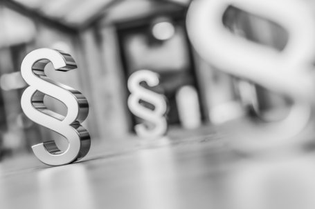 Betriebswirtschaftliche Stellungnahme zu FISG und Risikomanagement