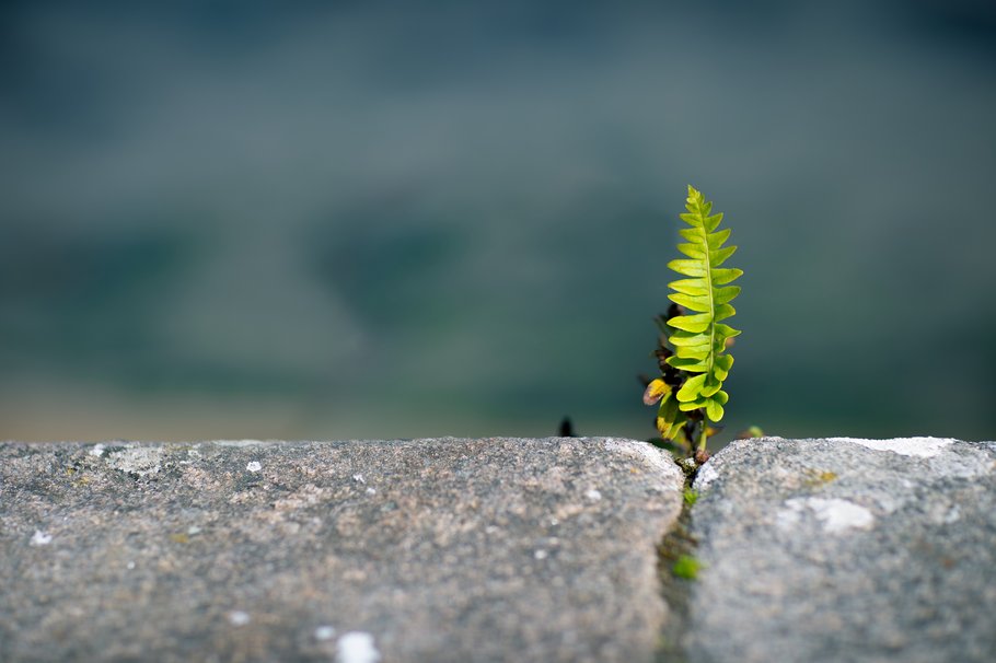 Resilience + Antifragility = Resility