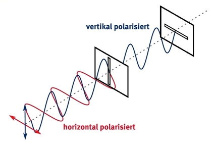 Abbildung 4: Polarisation von Photonen (Quelle: http://www.weltderphysik.de/gebiete/theorie/quanteneffekte/zwillingsforschung/)