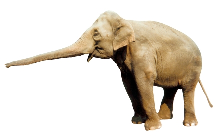 The elephant in the room is not Europe, but the US