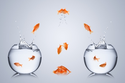 Versagen von Managern und Aufsehern in Zypern