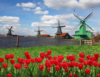 Niederlande stecken in der Sackgasse: Risikoanalyse Niederlande