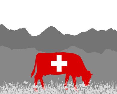 Risikoanalyse Schweiz