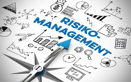 Management von Risiken bei der Zühlke Group: Praxisbeispiel: Einführung Risikomanagement