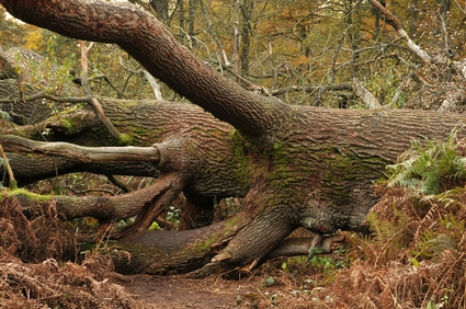 Auf dem absteigenden Ast: Rückläufige Investitionen in den USA