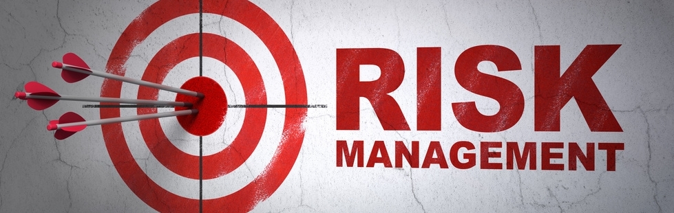 Master thesis risk management