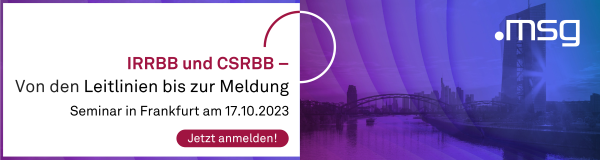 IRRBB und CSRBB – Von den Leitlinien bis zur Meldung: Umsetzung der neuen EBA-Anforderungen