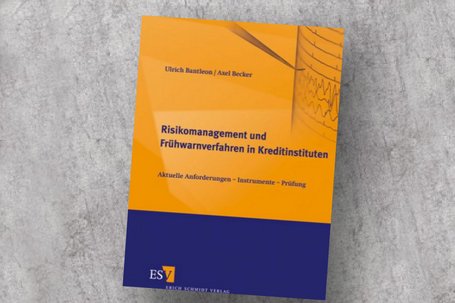 Risikomanagement und Frühwarnverfahren in Kreditinstituten