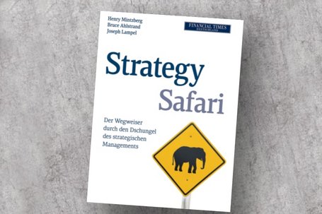 Strategy Safari